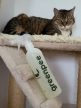 Greenpee vizelet- és szagsemlegesítő